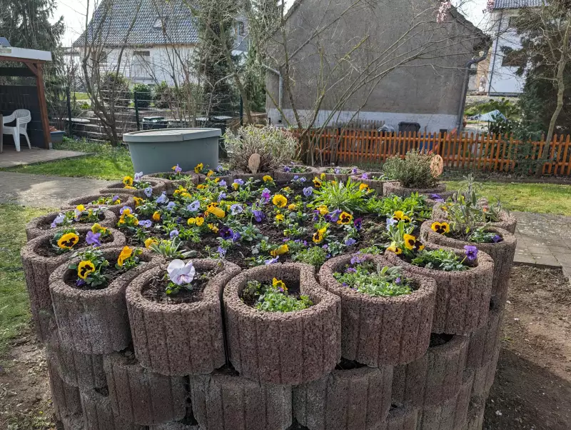 pxl_20240320_084820306