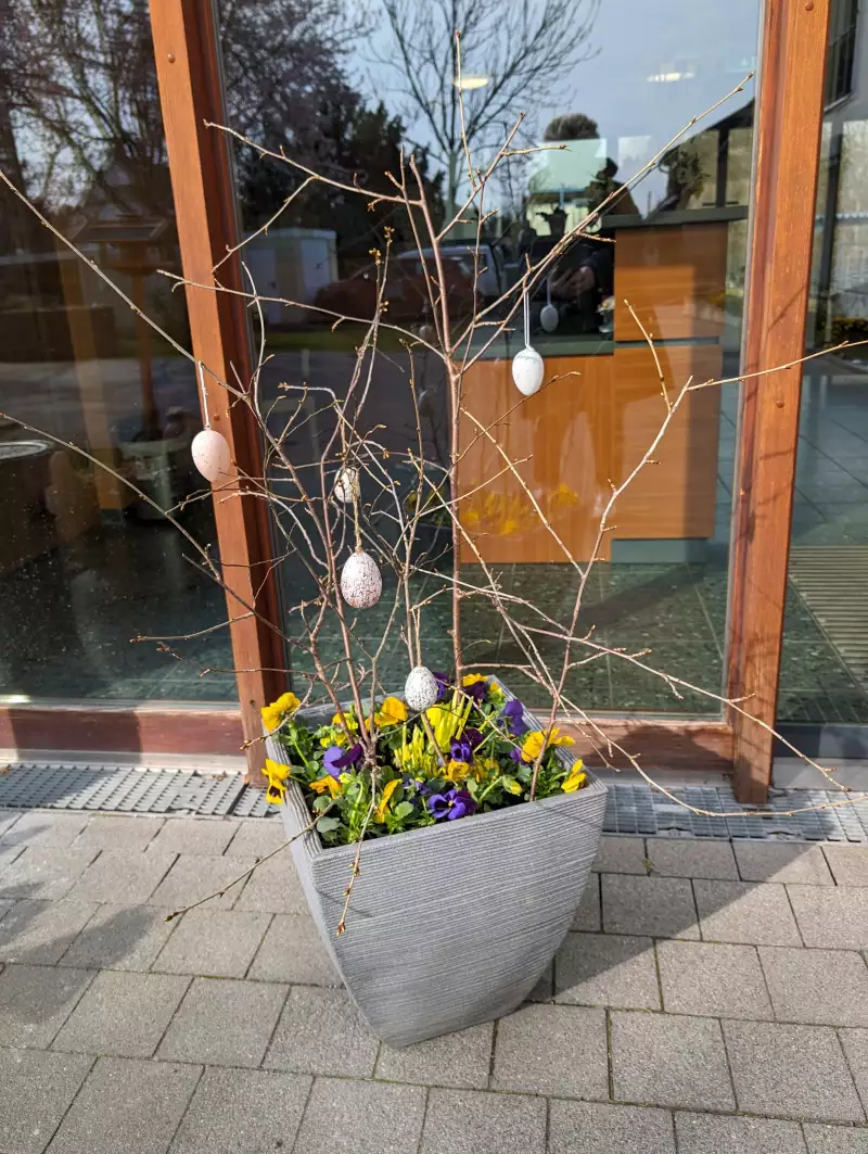 pxl_20240320_084929675h