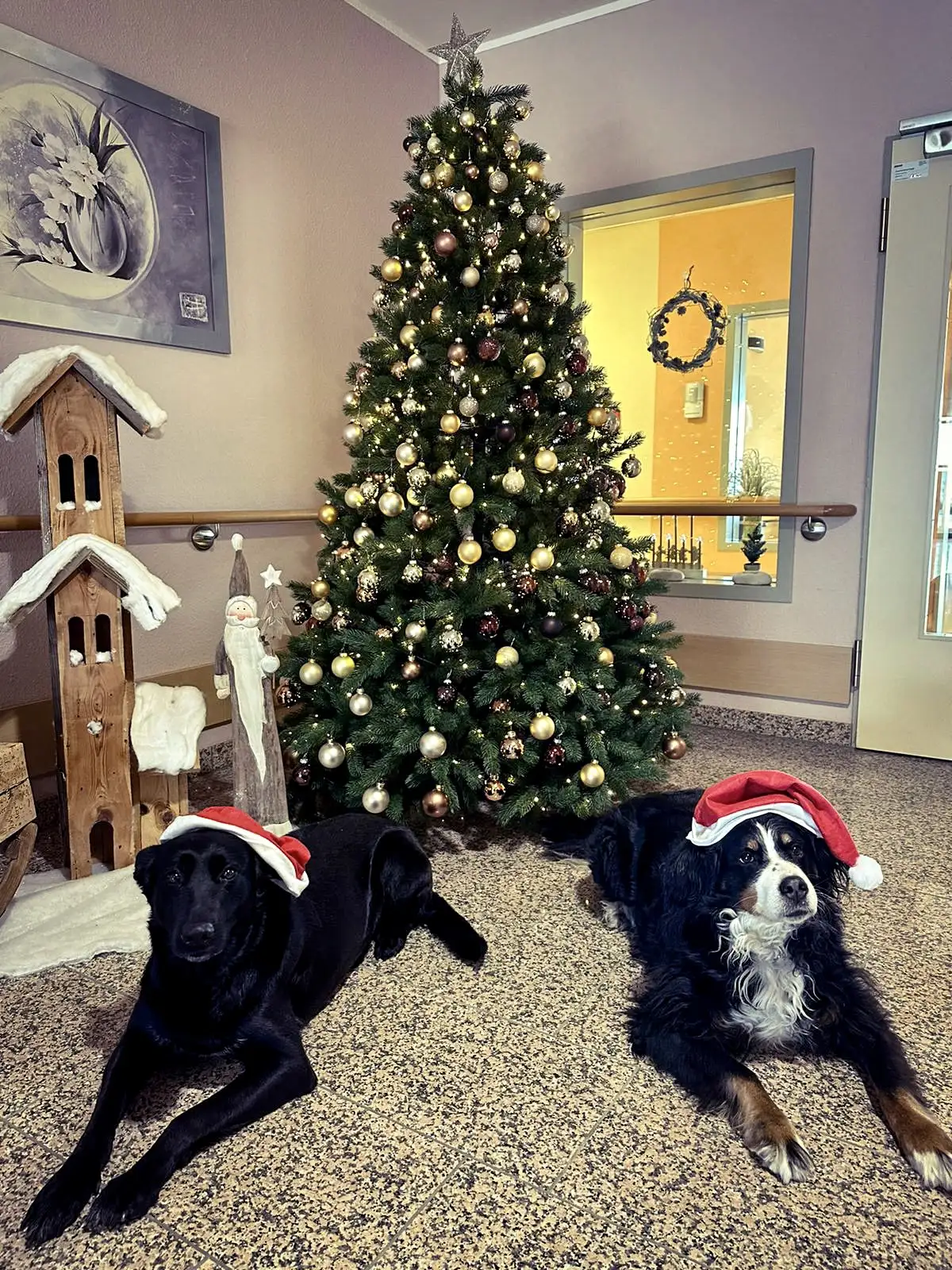 dritteradventamleineufer