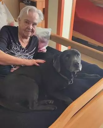 img-20230815-wa0014h