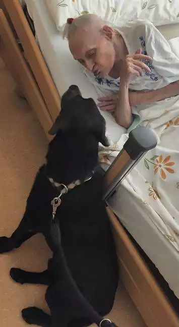 img-20230815-wa0012h