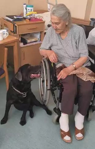 img-20230815-wa0013h