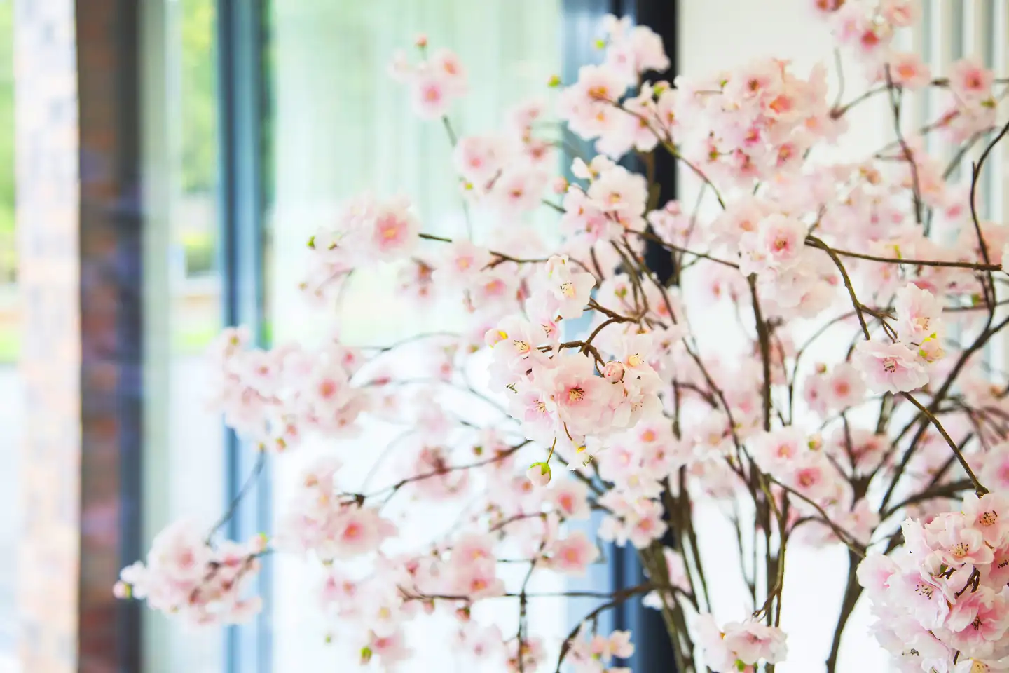 Kirschblüten