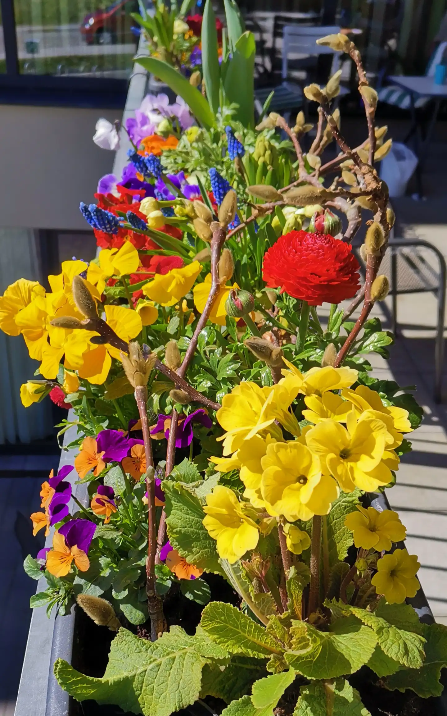 blumenkasten-3