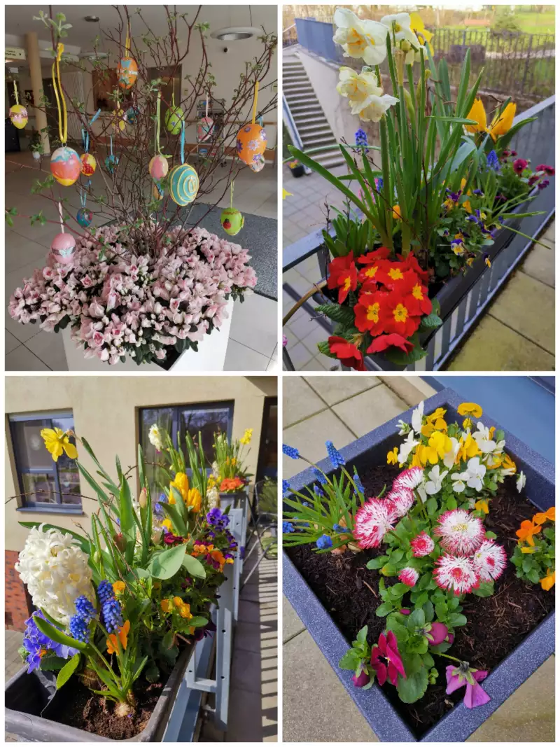 collage_20250402_110900