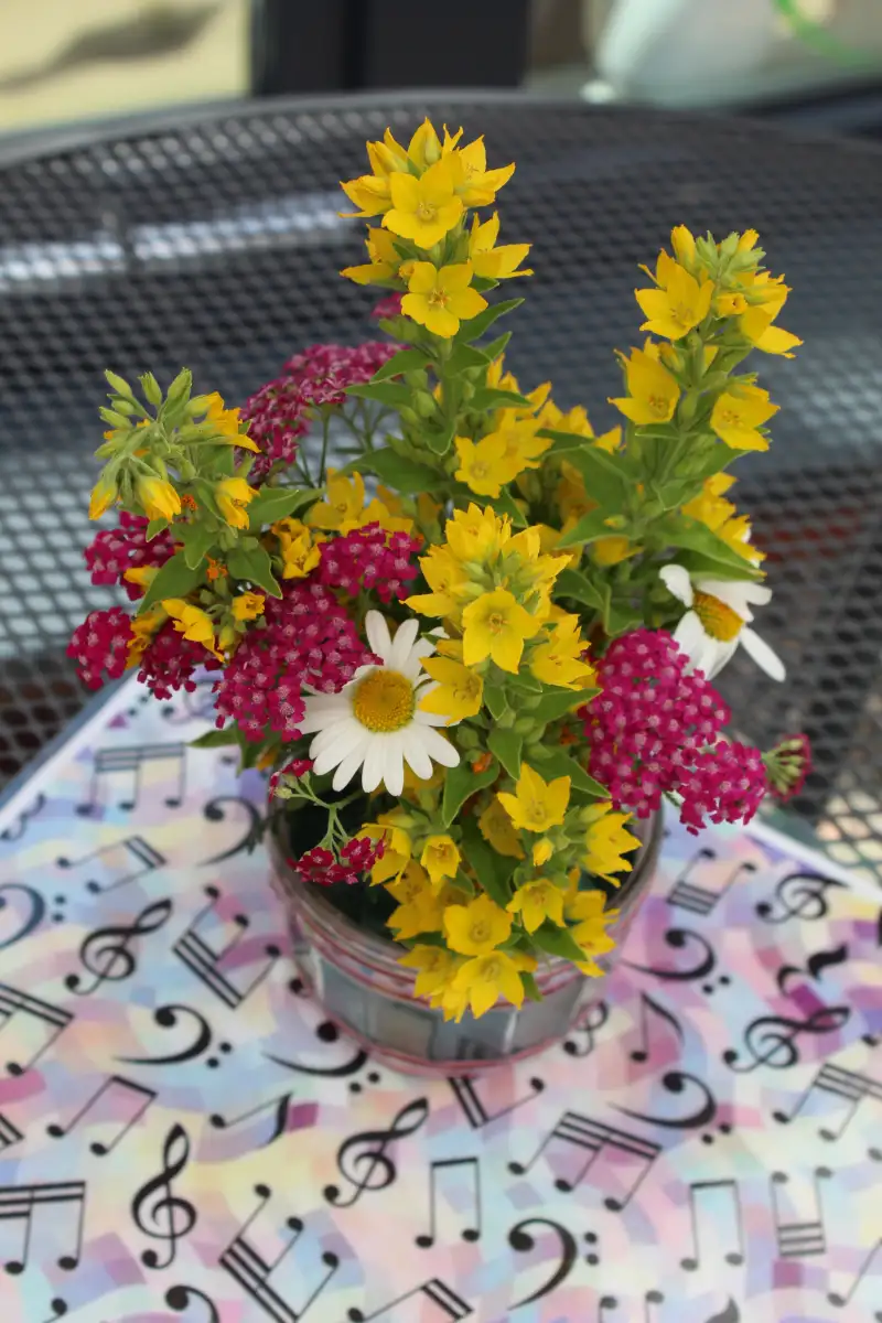 sommerfest-ch23-hoch-2