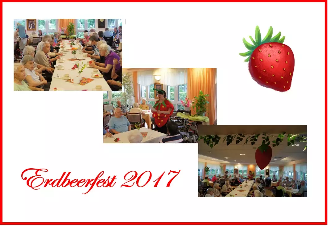 erdbeere