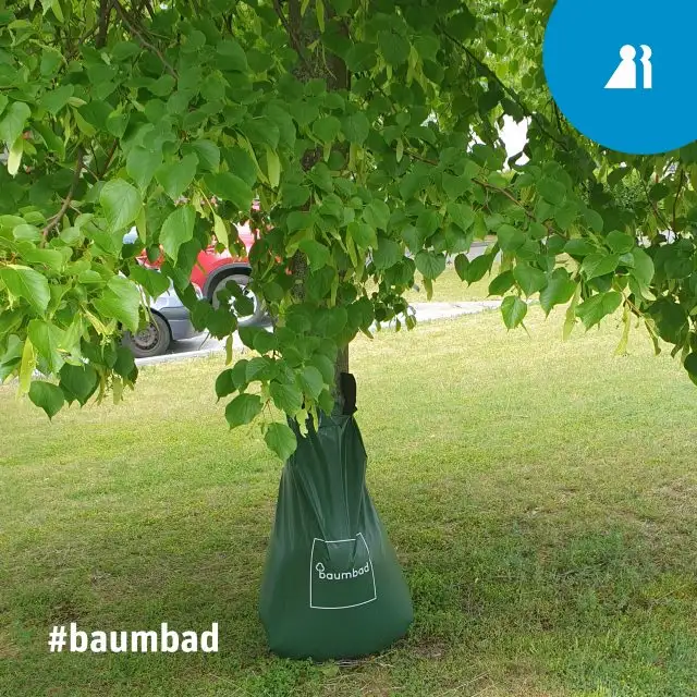 baumbad-640x640