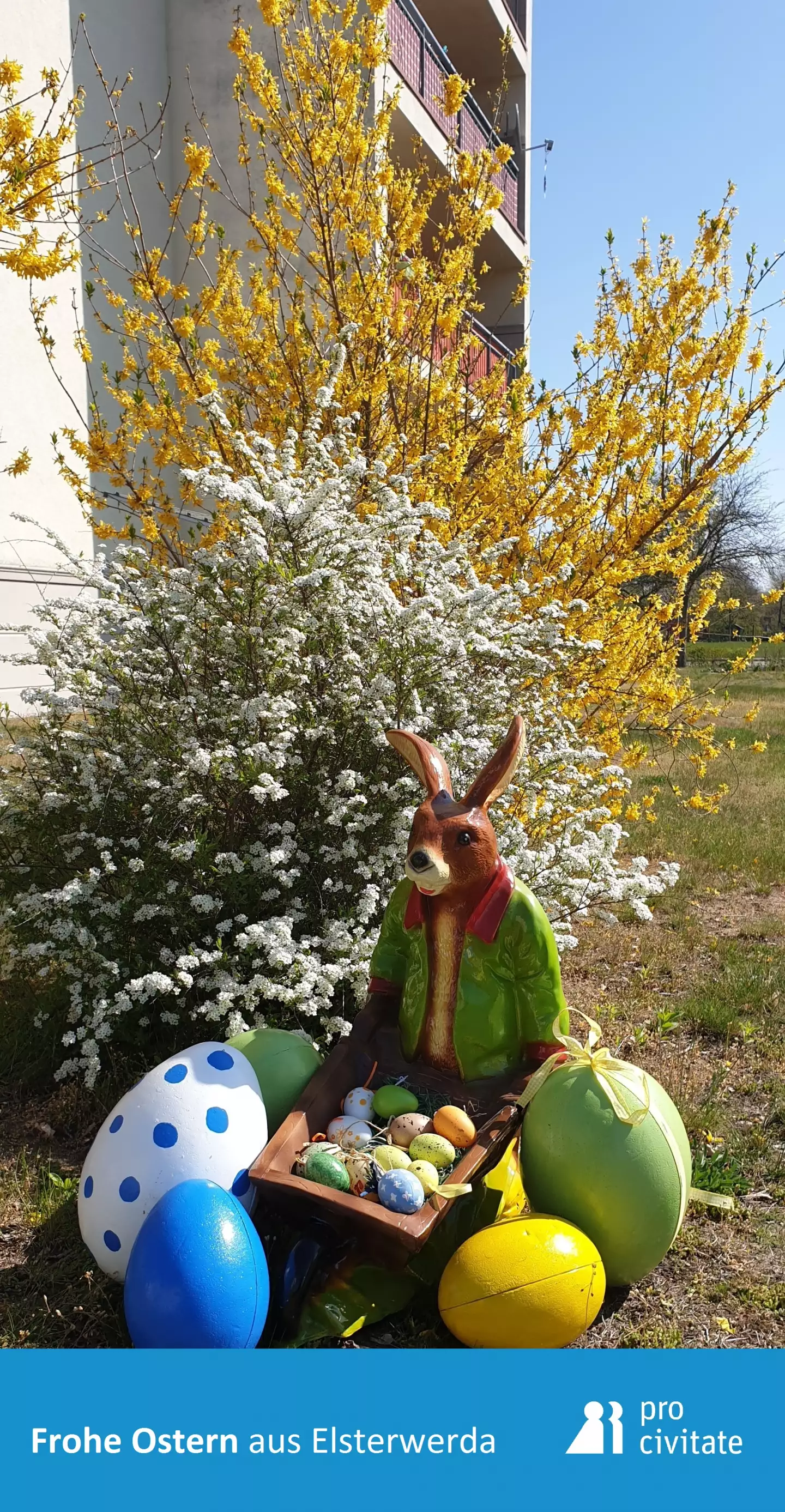 proci-elster-ostern19