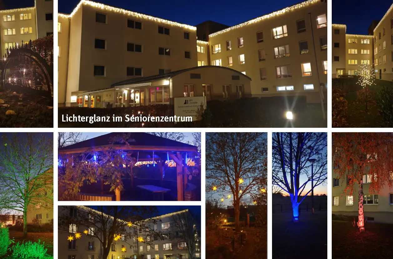 lichterglanzelster