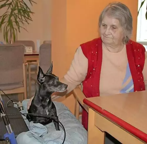 3622137_m1t1w500q75v41259_201601213472-gvo5uq1cl.1-org