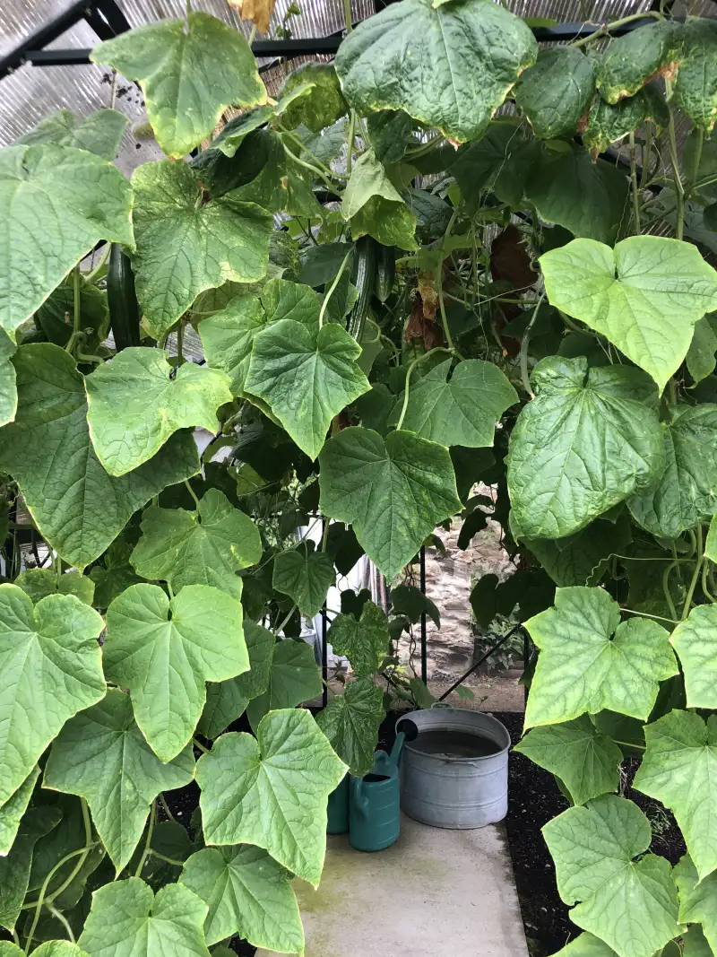 image1-1