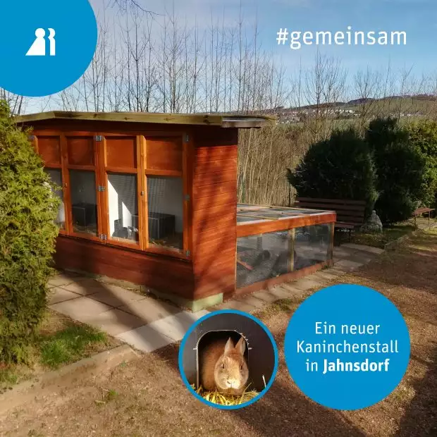 kaninchen-jahnsdorf-620x620