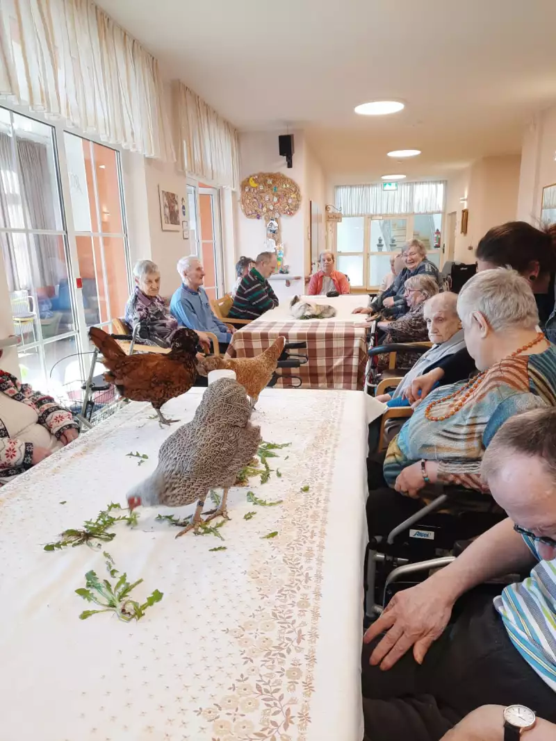 3cbeb984-d9c7-49e1-b7c0-86c0da1ad64g