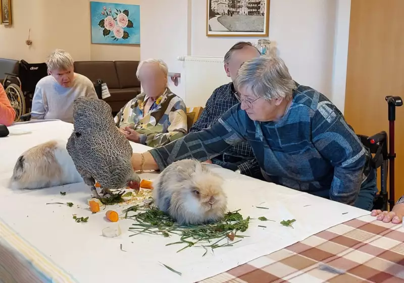 e510b486-dab8-4643-a42d-ba7376d32927