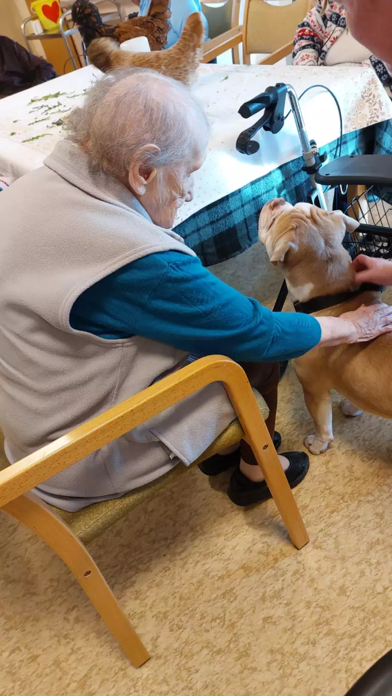 9b65ae54-400f-4a66-b722-b457276c37c6