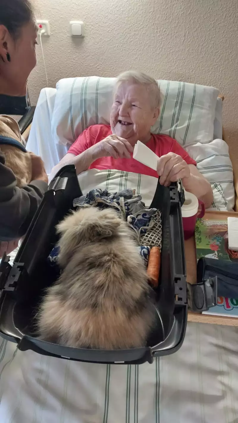 a084d585-d7eb-4c29-8230-eb1c2e1842b7