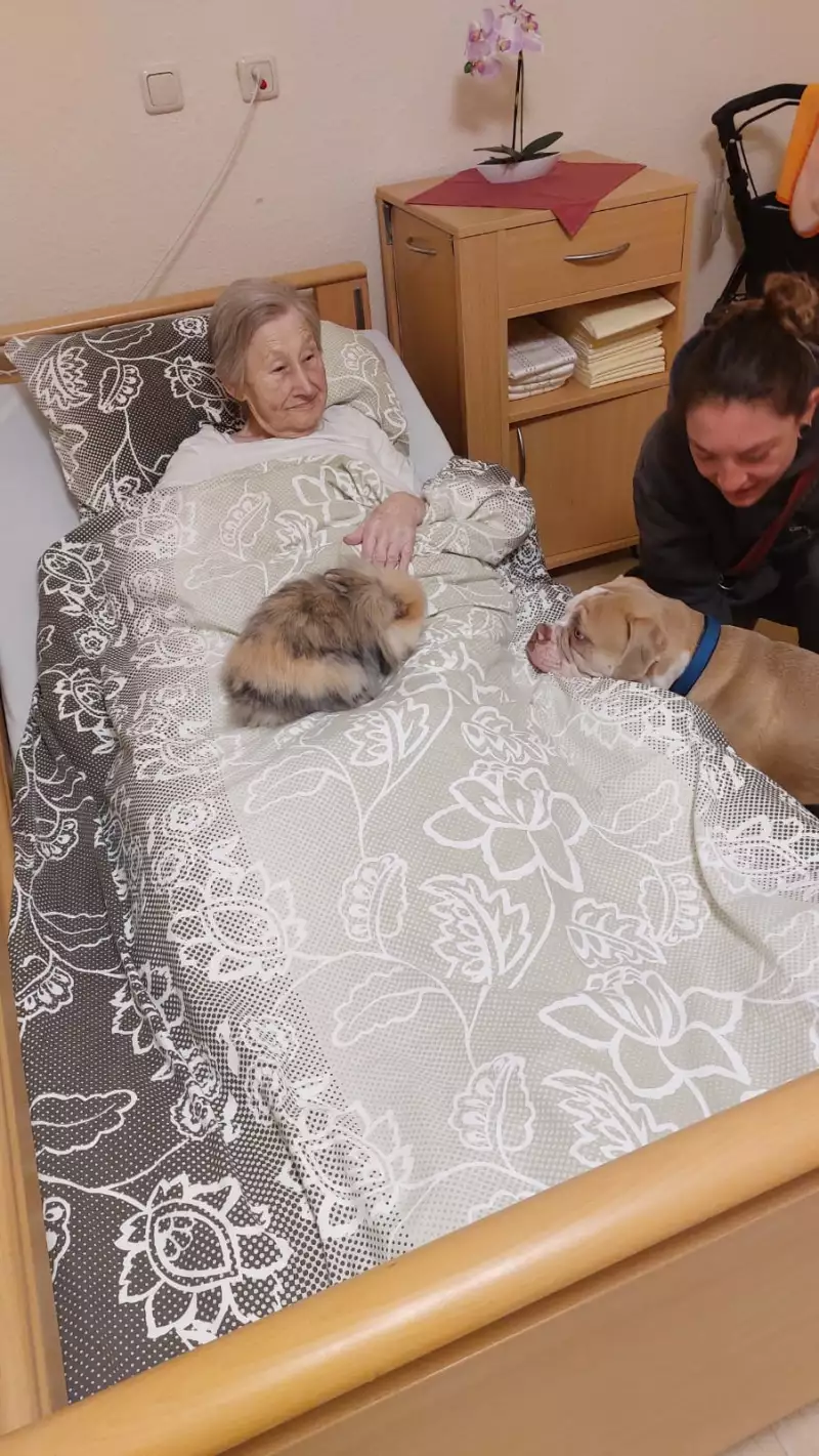 07ac2b5a-ff7f-4bba-a910-deb66fa6451e