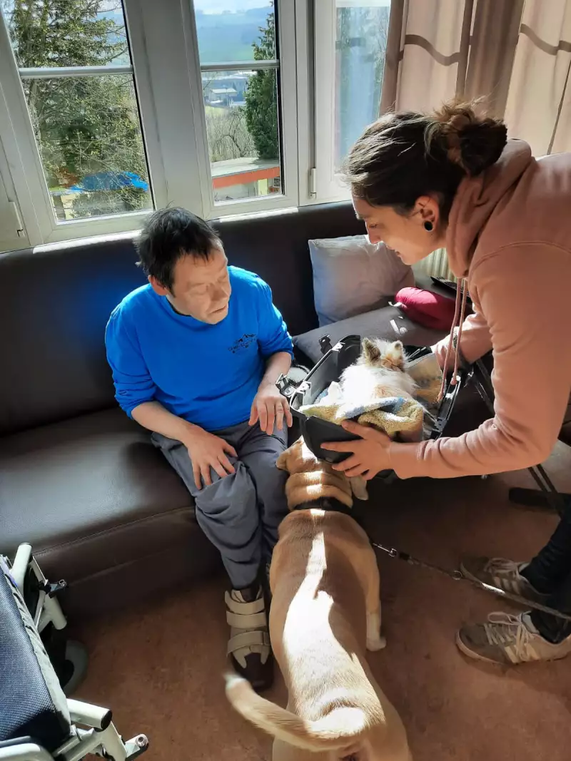 204d58af-1239-4565-8a51-2c4e9e1cad4e