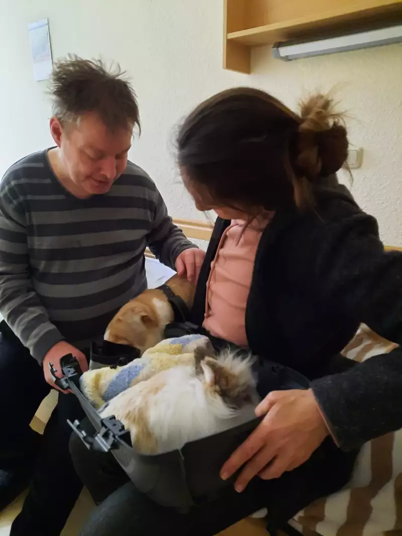 18cdba0c-cf68-4efc-a055-9fea235de8c6