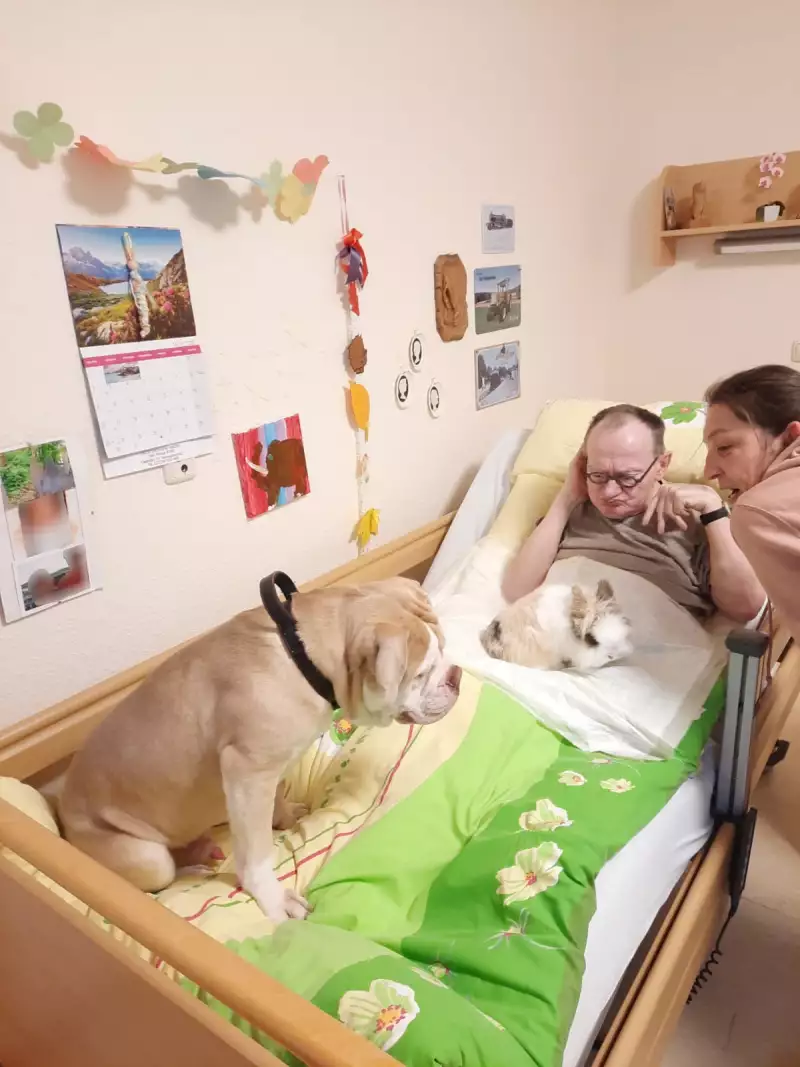 0dc764a1-273a-4515-bf40-7cd6dde4885e