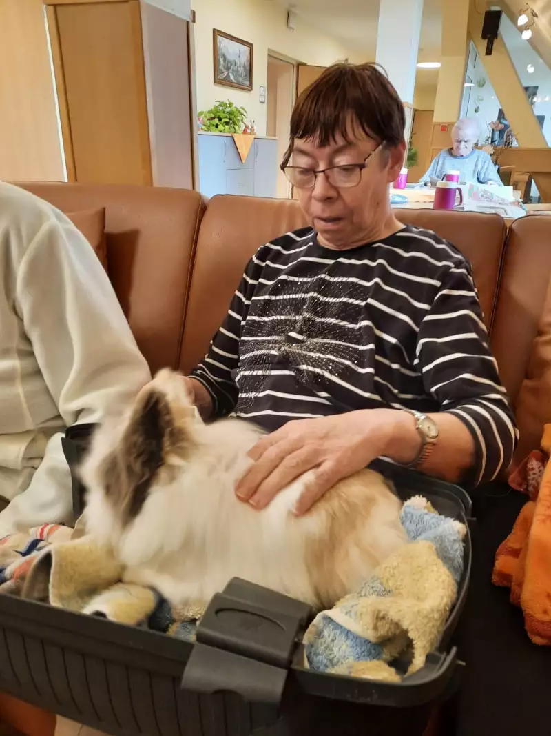 0761f710-efb0-46c3-b560-c084016f56ab