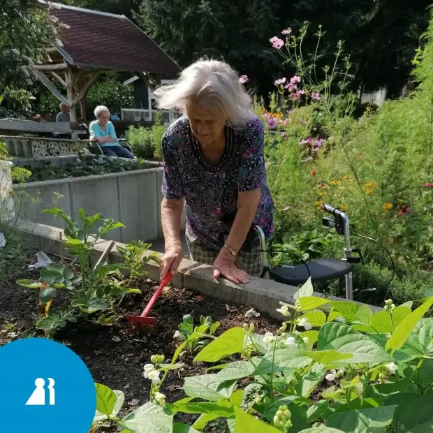 gartenmeissen-620x620