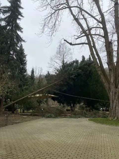 2-rotated