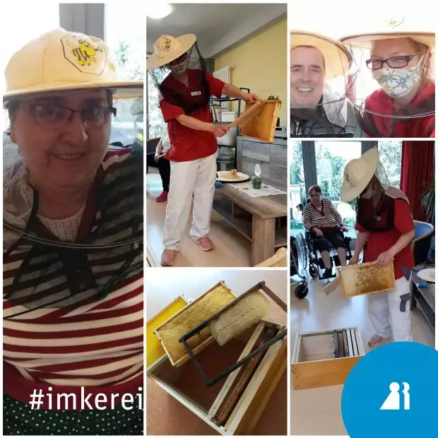 imkerei-muecheln-620x620