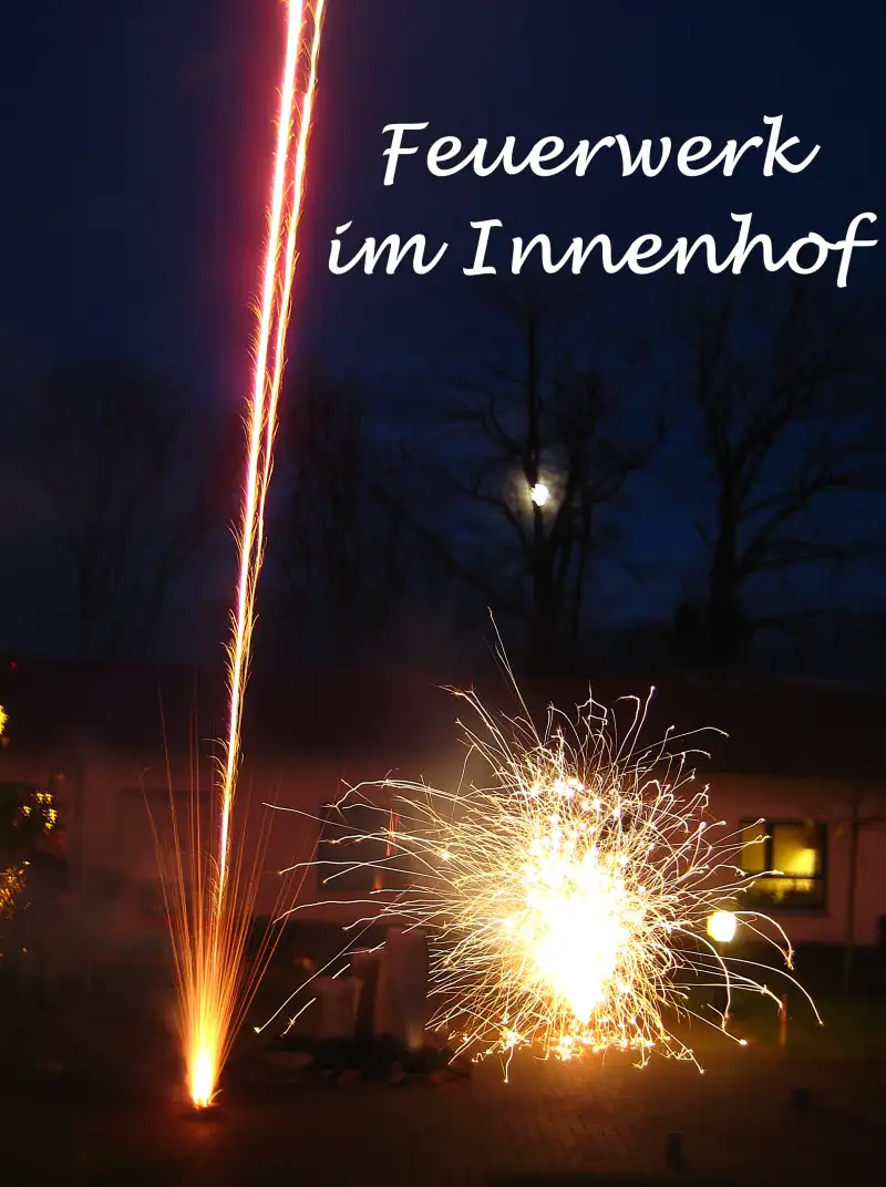 silvester-26