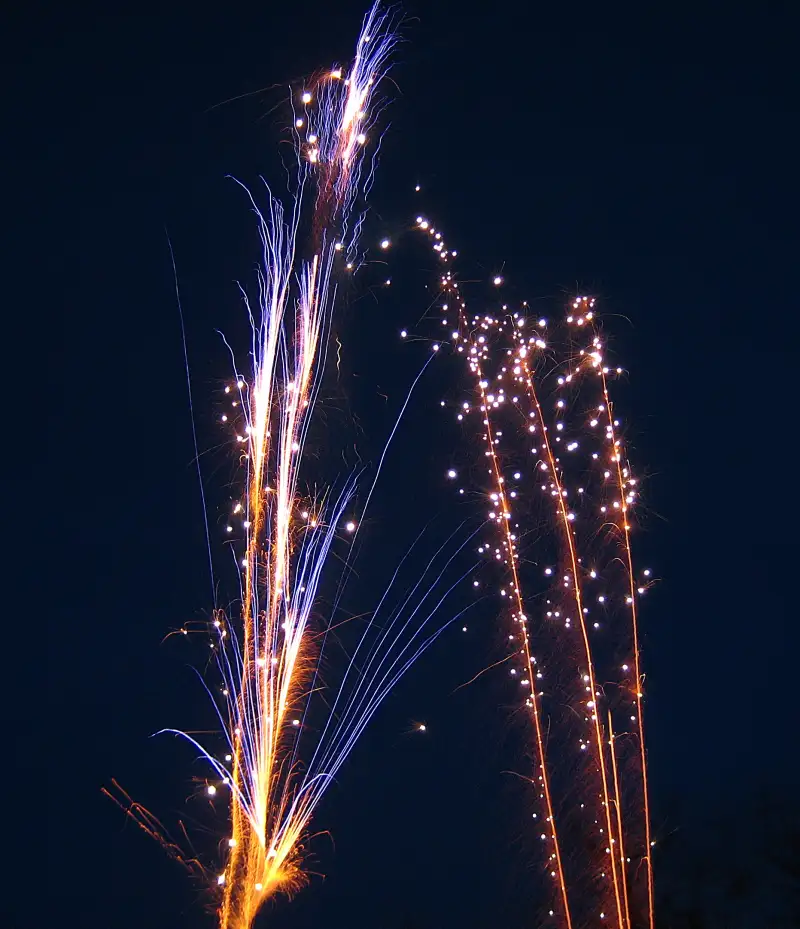 silvester-34