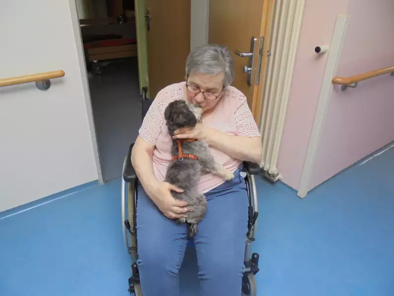 bewohner-hund-2