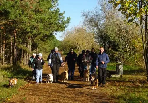 2017-10-tg-wanderung-dogfritz-1-520x360