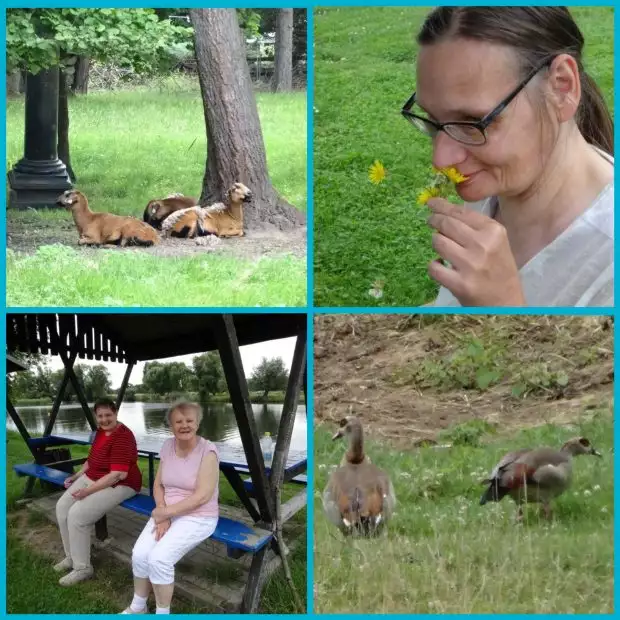 incollage_20200805_152846701-620x620