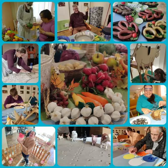 collage_beim-bauern-640x640