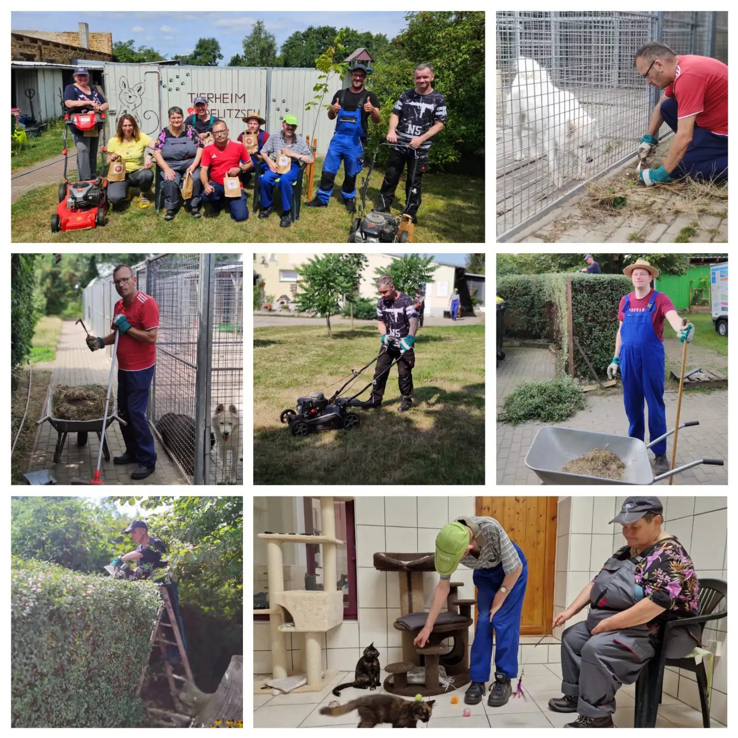 collage_tierheim-delitzsch-eag