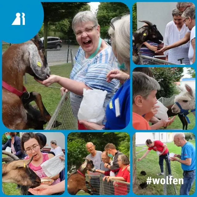 wolfen-tiere-640x640