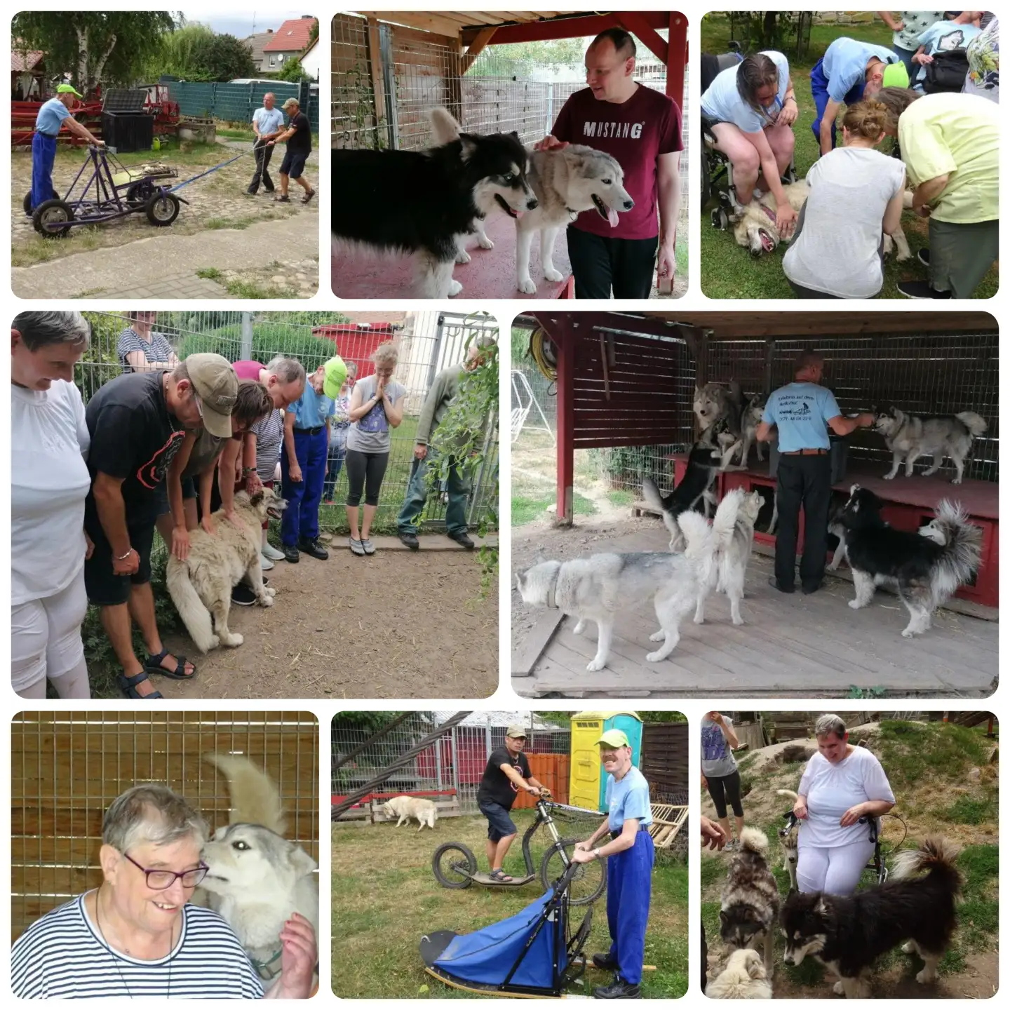 collage_erlebnis-auf-dem-huskyhof