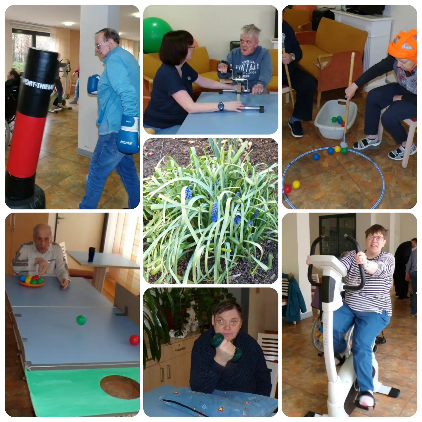 collage_fit-in-den-fruehling