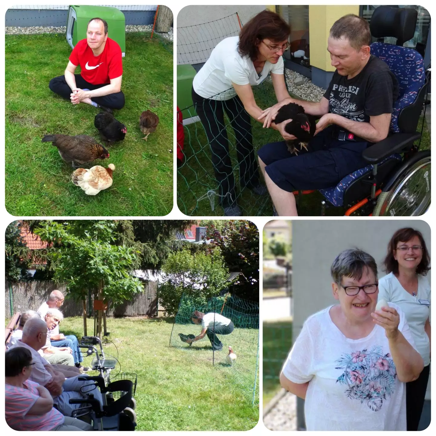 collage_huhn-auf-tour-2024