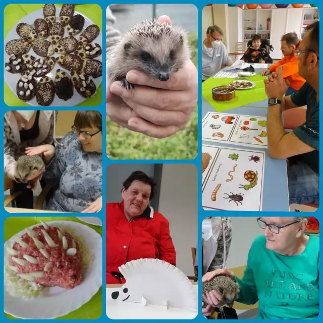 collage_igeltag_2021-05-640x640