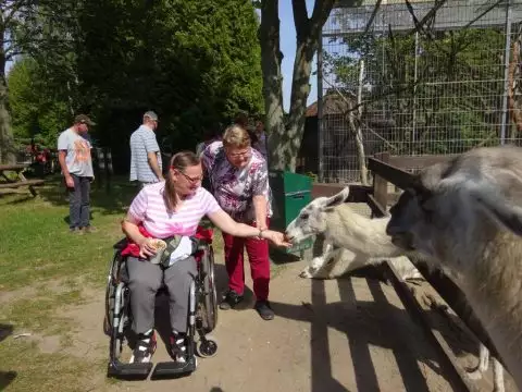 2017-urlaub-pollmannsruh-3-480x360