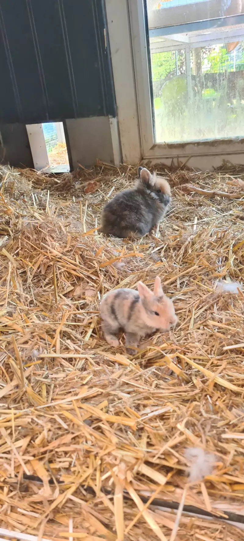 20220510_090801-scaled