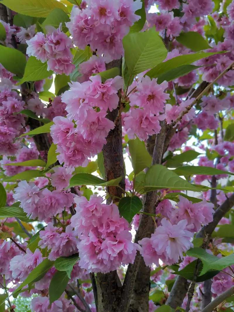 img_20220511_121149-scaled