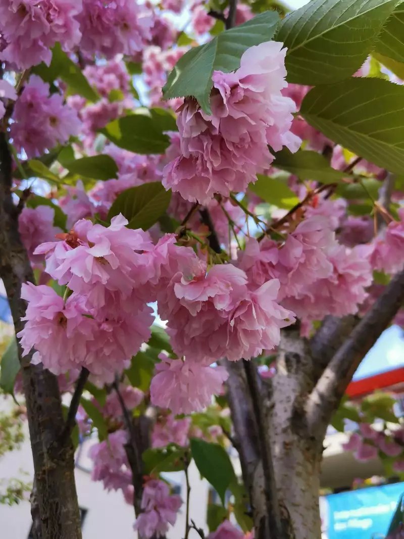 img_20220511_121359-scaled