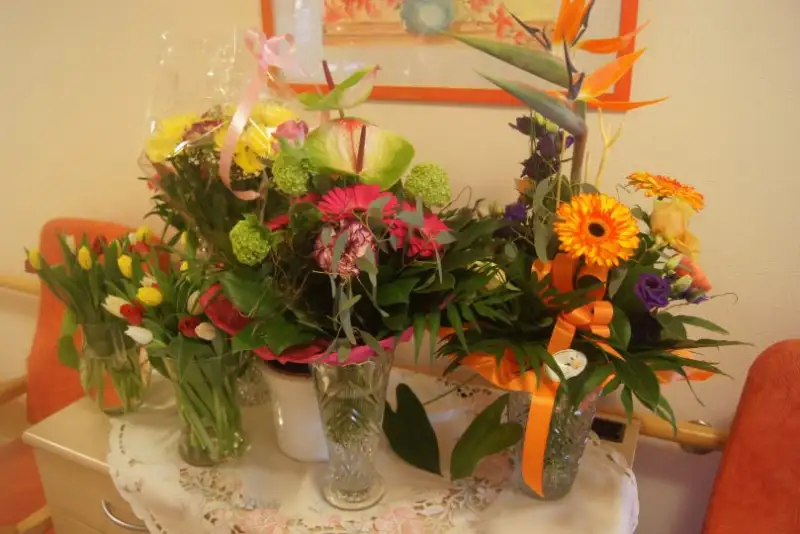 dsc06246-809x540
